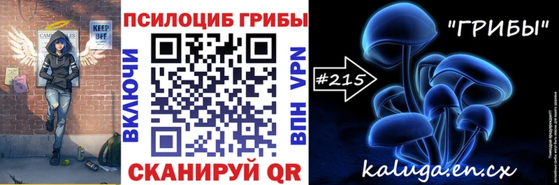 Псилоцибиновые грибы Psilocybe  Реутов 